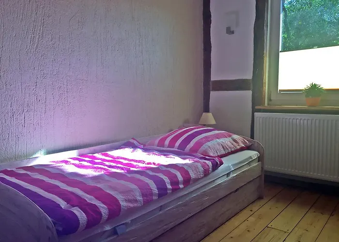 Vakantiehuis Fachwerkhaus 4 Birken *